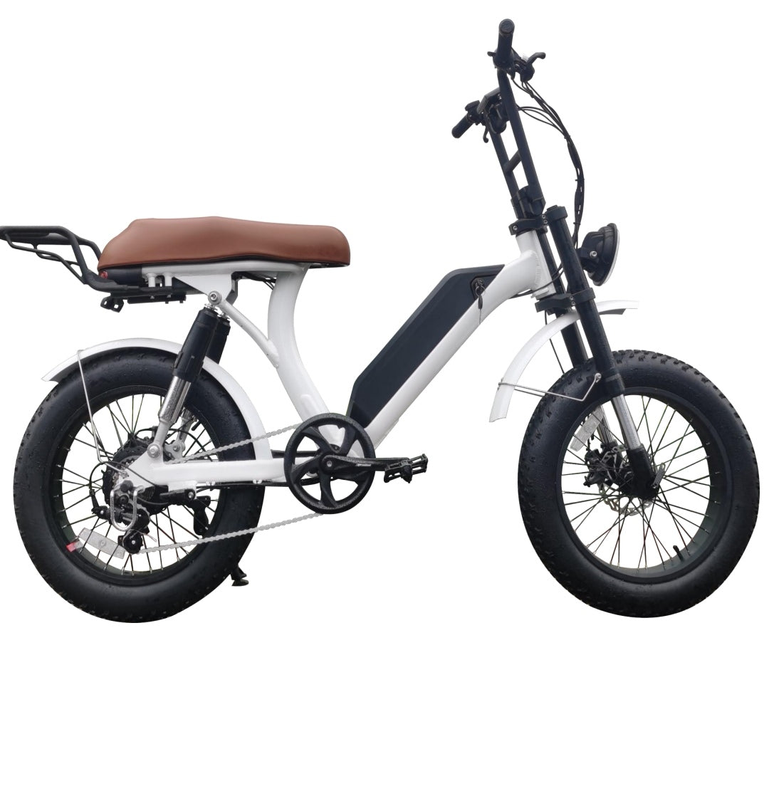 Cheap ebikes outlet